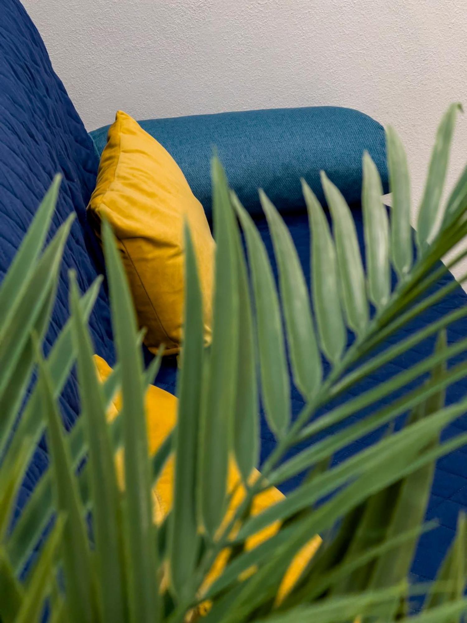 Alla Casa Rosa Al Mare, Central Seafront Stay With Free Private Garage, Air Conditionig, Wi-Fi, Ideal Choice For A Relaxing And Exciting Coastal Escape Rapallo Exteriér fotografie